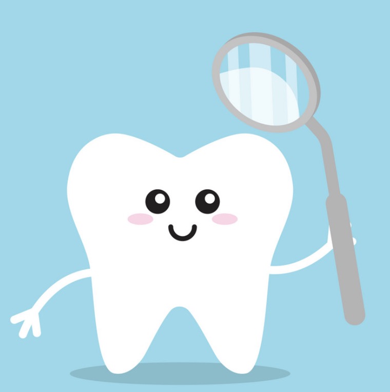 Does The Prodentim Supplement Really Work For Dental Care